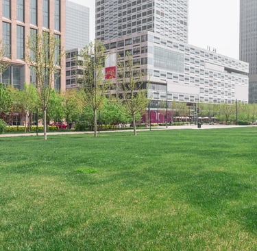 landscape design services