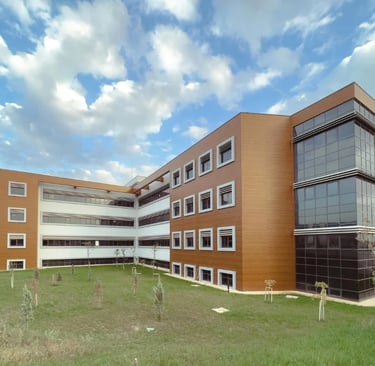 seasonal lawn maintenance