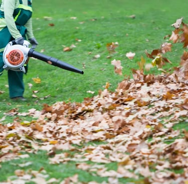 residential lawn care