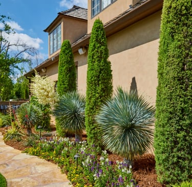 landscape contractor near me