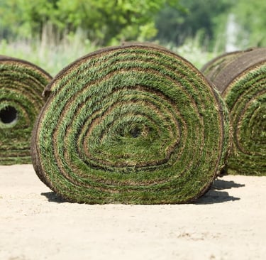 professional sod installation