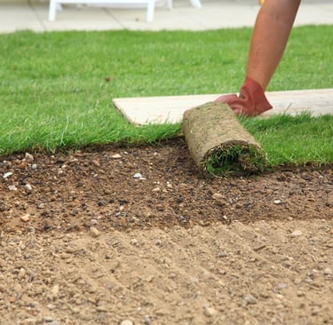 sod installation
