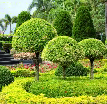 landscaping services near me oklahoma