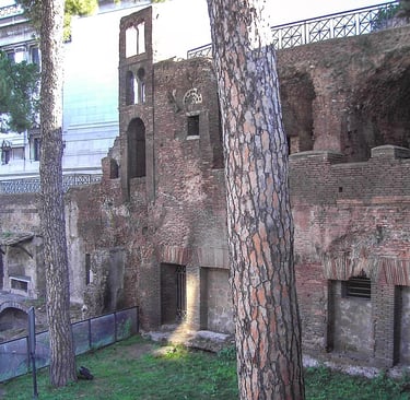insula romana