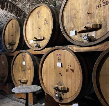 Événement professionnel au Domaine Cesarini en Ombrie - visite de Cantina