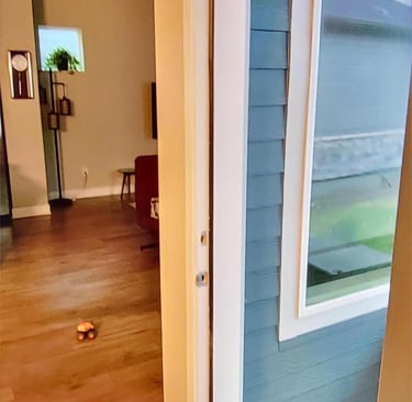 door jamb after repair