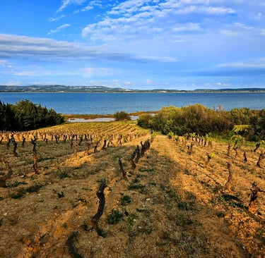 Mythopia - Curve Wines