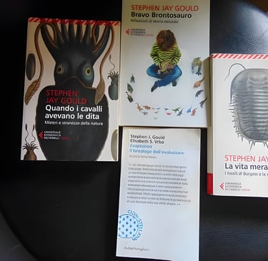 a book with a picture of a man in a chair