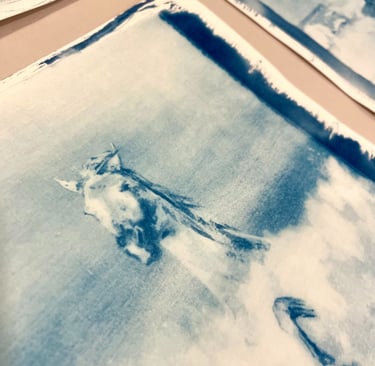 An Original Handmade Cyanotype Print