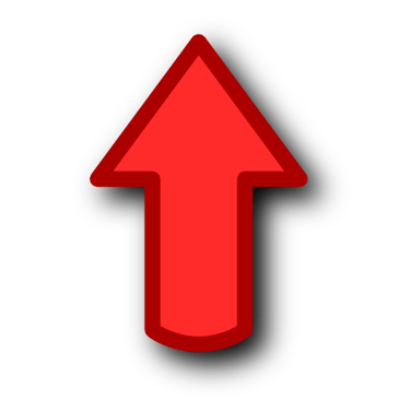 Top of Page