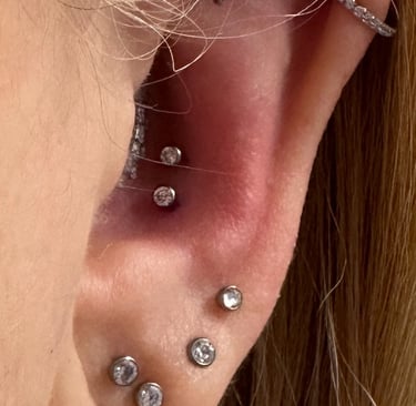 Titanium jewellery fitted for conch piercing in Montrose