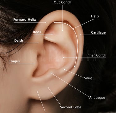a image of all ear piercings