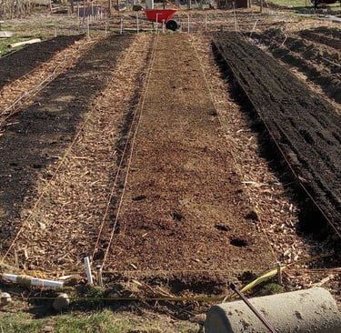36" by 50' beds, amended w/ chemical-free compost, with 18" woodchip paths built for Crystal Gardens