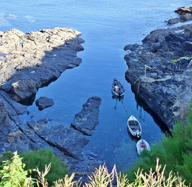 Bessy's Cove