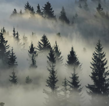 Errores en la web de tu clínica