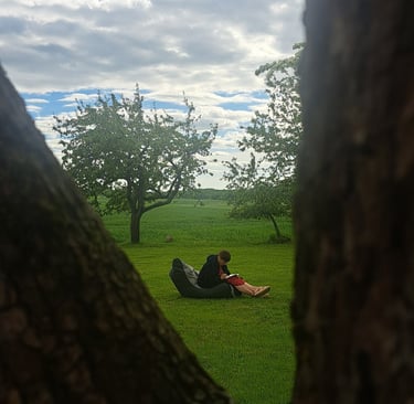 A person relaxing in a bean bag chair outdoors, reading in a scenic green field with trees.