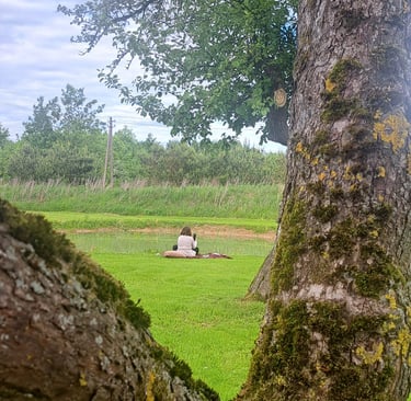 A person sitting on a green lawn by a pond, viewed through the fork of a mossy tree trunk.