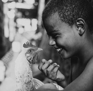 40 ft shipping container for sale 