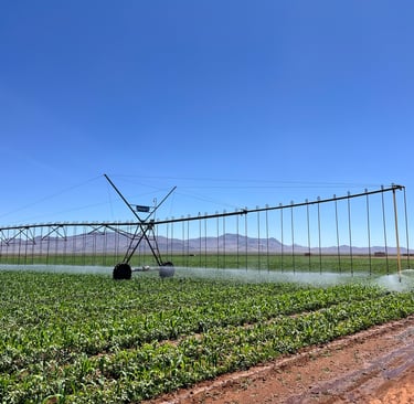 Riego tecnificado