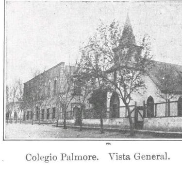 Palmore College
