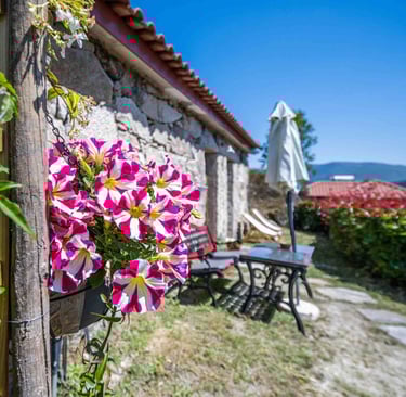 maison de vacance-gite au portugal