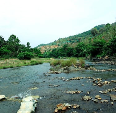 a river with rocks and rocks in the foreground