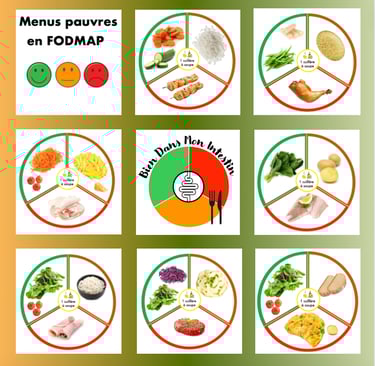 exemples de menus pauvres en FODMAP : assiettes digestes validées par Monash University