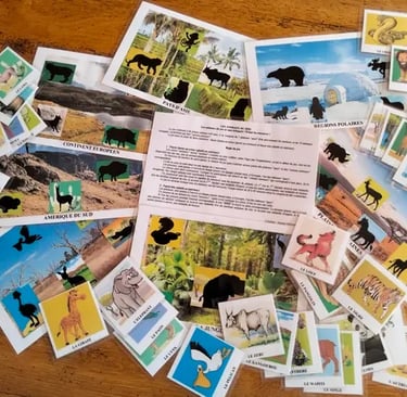 le guide complet pour enchanter vos enfants de moins de 12 ans : les animaux du zoo