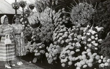 A magnificent floral display at The Sandy Show - 1940s