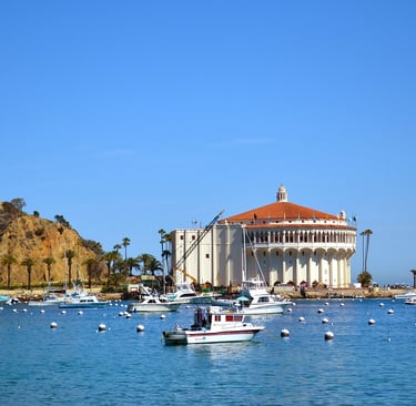 catalina