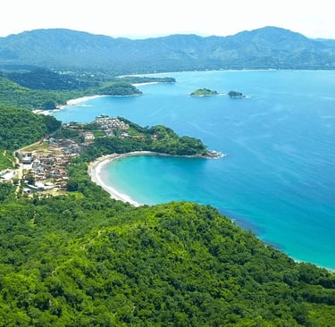 Pura Vida