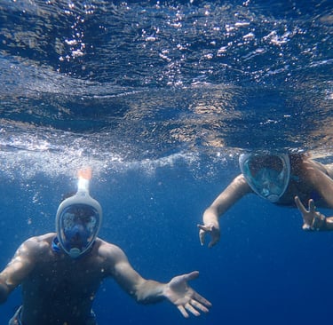 People Snorkeling Underwater
