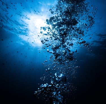 Immerse Yourself