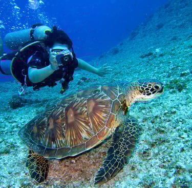 scuba diving
