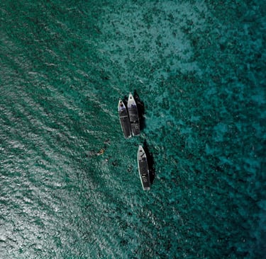 Ships floating over ocean surface