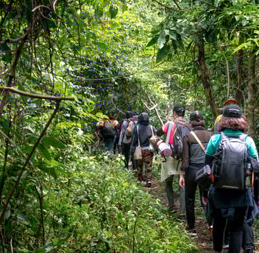 Traveling group with backpacks exploring forest during hike