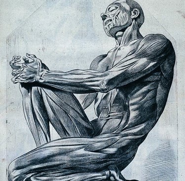 Alexander Lowen, Mémoire du corps, guérison en profondeur, se libérer du poids du passé