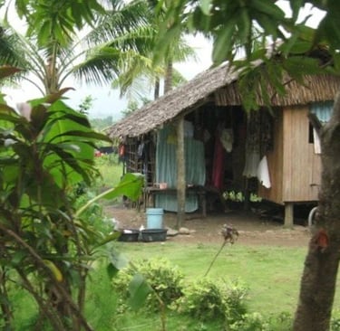 A hut-style abode surrounded by greenery.
