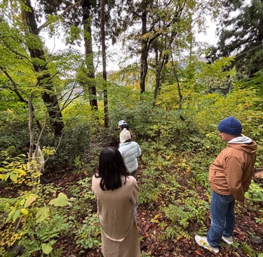 Japan Forest Bathing