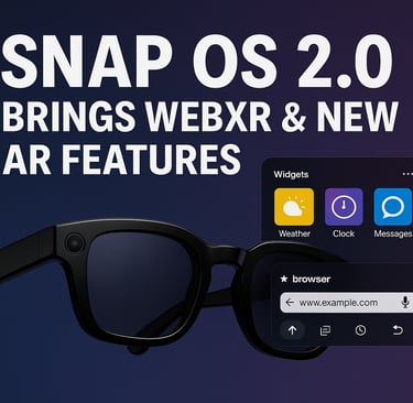 a pair of sunglasses with snap - ons and snap - ons