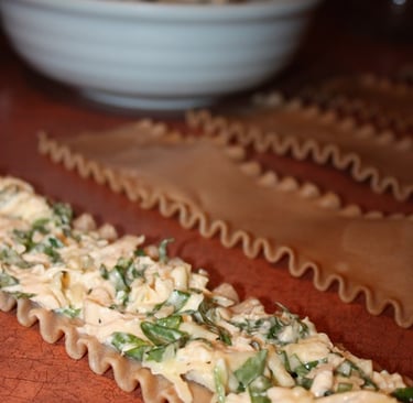 lasagna noodles with chicken cheese mixture