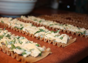 lasagna noodles with chicken cheese mixture