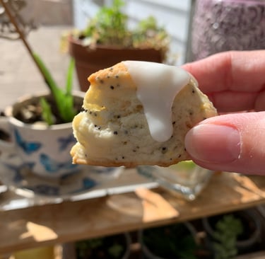 lemon poppyseed scone, 2 bite scone