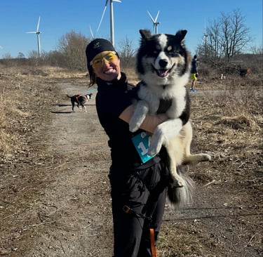Yakutian laika europe puppy
