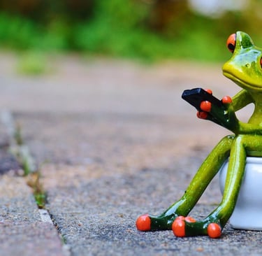 sapo mexendo no telefone assentado no vaso sanitário
