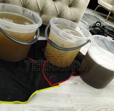 terraura koltuk yıkama antalya