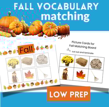 Preschool Fall Sorting Realistic and Graphic Images