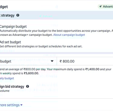 Budget Startegy
