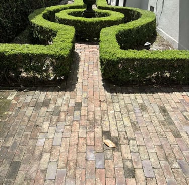 Before and After picture of a Backyard
