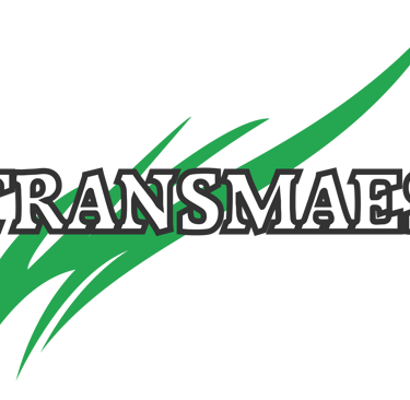 Transmaes logo